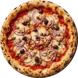 Visualisation de la pizza Tonno
